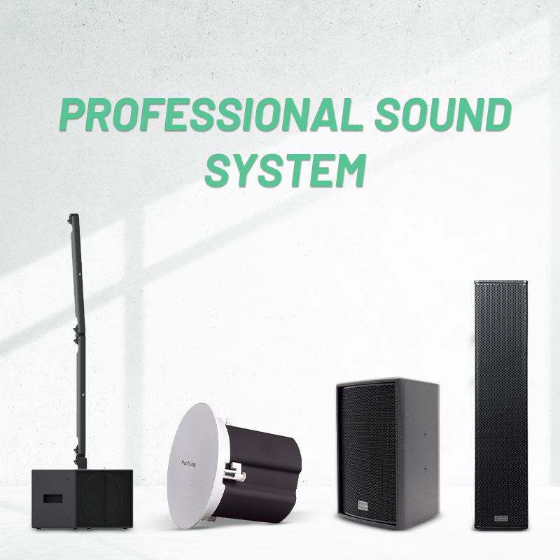 Professional Sound System