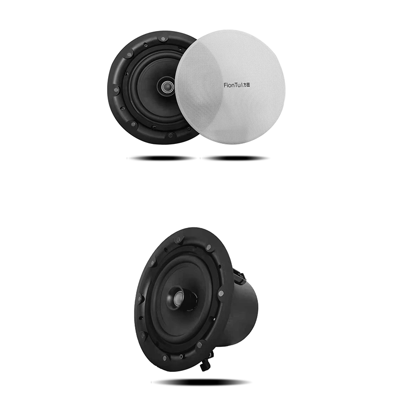 ceiling speaker